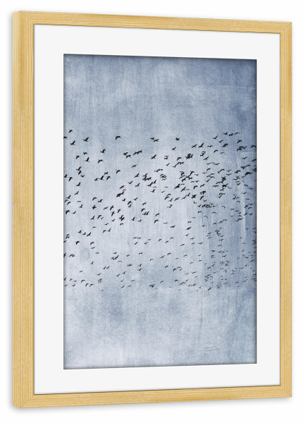 Poster mit Rahmen kiefer "Moving On en Bleu" artboxONE - Natur,Reise,Tiere - Vögel,Freiheit,Birds,Flying,Tiere,Sky,Himmel,Animals,High