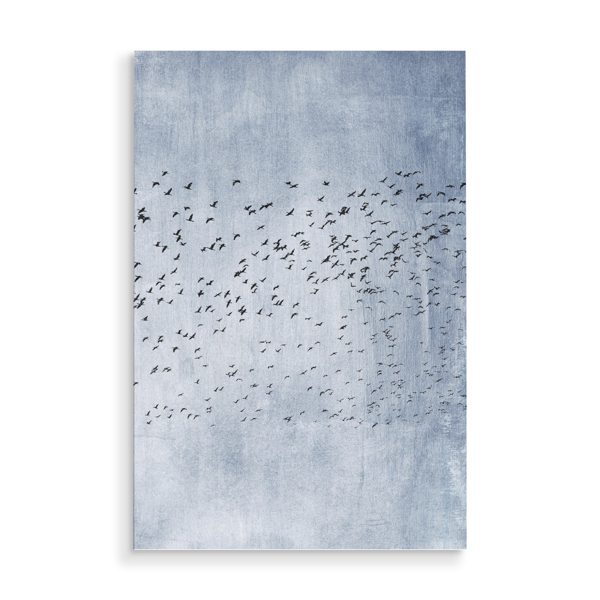 Holzbild "Moving On en Bleu" artboxONE - Natur,Reise,Tiere - Vögel,Freiheit,Birds,Flying,Tiere,Sky,Himmel,Animals,High
