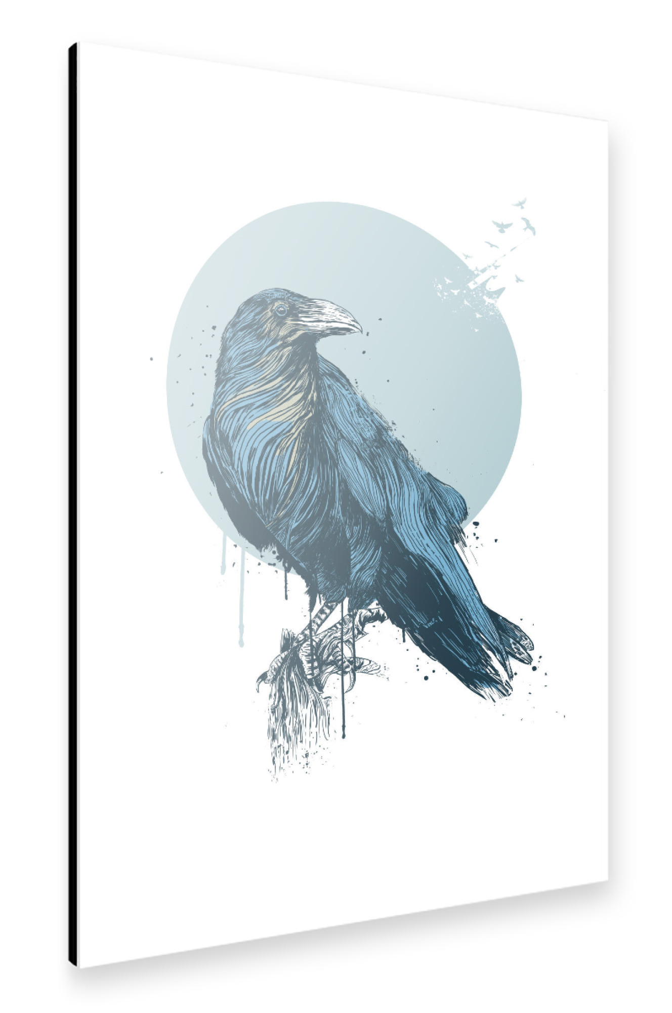 Alu-Dibond "Blue crow" 75x50 cm artboxONE