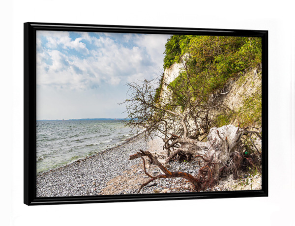 Poster mit schwarzem Rahmen "Baumstamm und Bäume" artboxONE - Natur,Reise,Reise / Strand und Meer