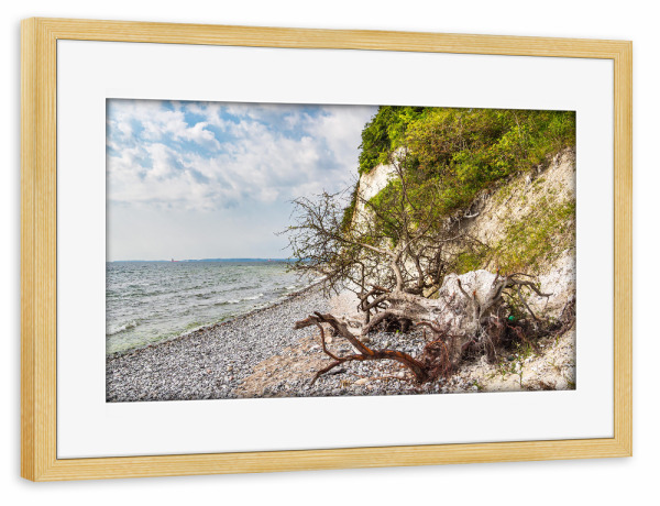 Poster mit Rahmen kiefer "Baumstamm und Bäume" artboxONE - Natur,Reise,Reise / Strand und Meer