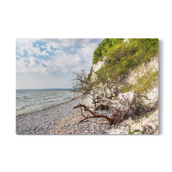 Galerie-Print "Baumstamm und Bäume" 30x20 cm artboxONE