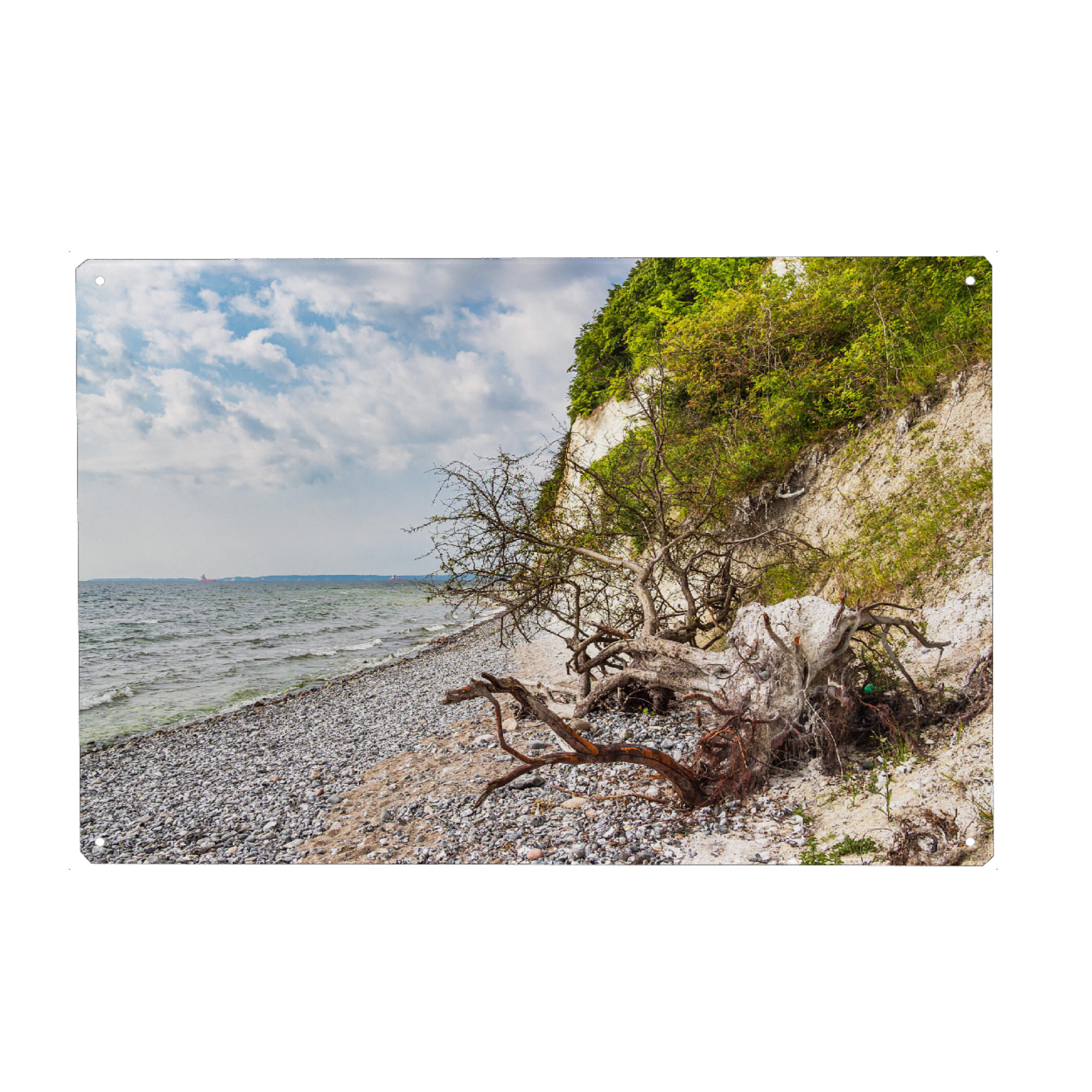 Metall Poster "Baumstamm und Bäume" artboxONE - Natur,Reise,Reise / Strand und Meer