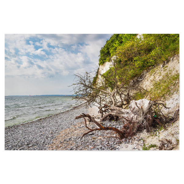 Poster 30x20 cm "Baumstamm und Bäume" artboxONE - Natur,Reise,Reise / Strand und Meer