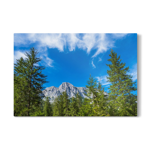 Galerie-Print "Baumwipfel und Bergzipfel" 30x20 cm artboxONE