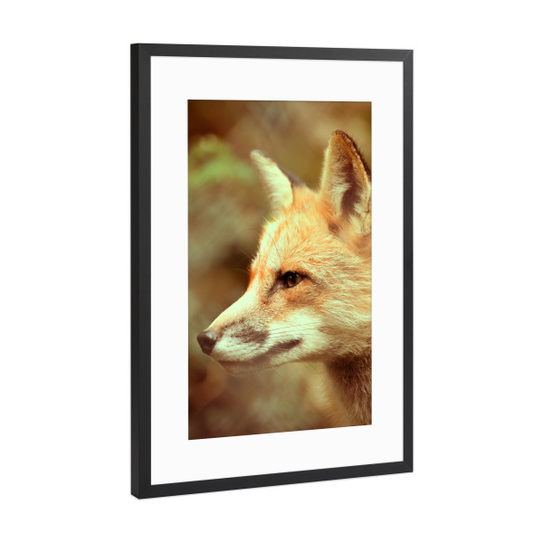 Poster mit Rahmen Schwarz (Metallic) "Aufmerksamer Fuchs" artboxONE - Natur,Tiere