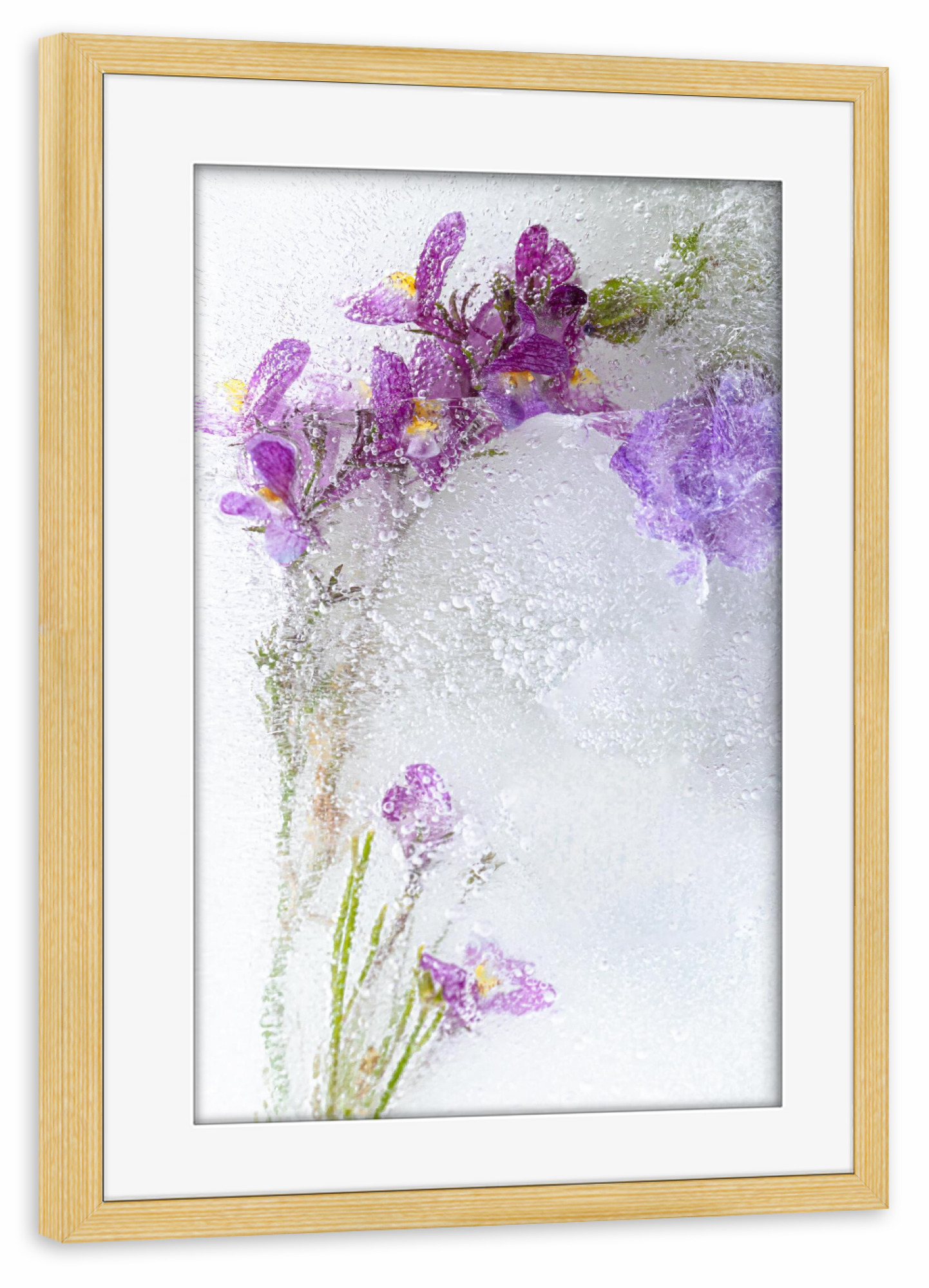 Poster mit Rahmen kiefer "Eingefrorene Blumen" artboxONE - Natur,Floral