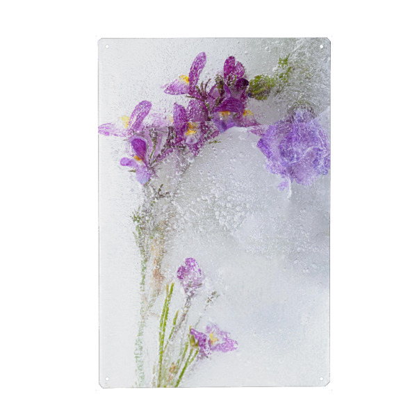 Holzbild "Eingefrorene Blumen" artboxONE - Natur,Floral