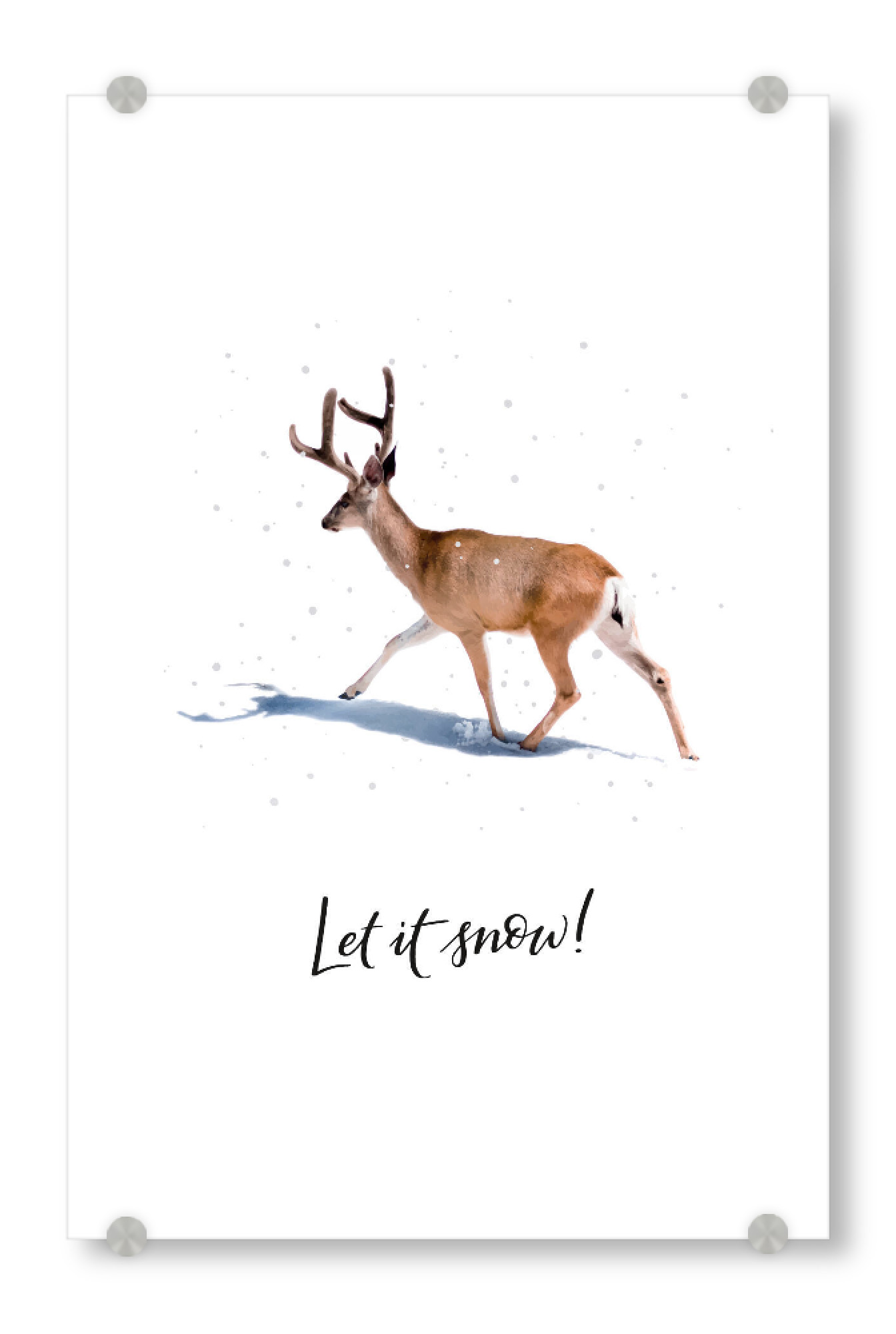 Acrylglasbild "Let it snow!" artboxONE - Typografie,Weihnachten - Let it snow,Reh,Wildtier,Deer,Animal,Tier,Christmas,Weihnachten