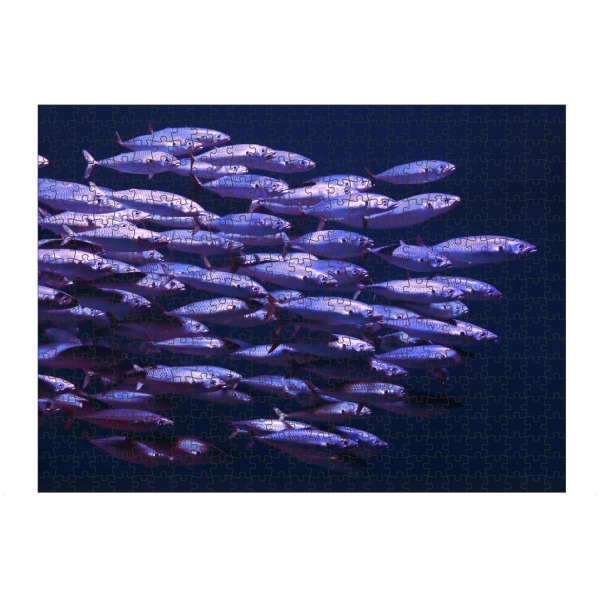Puzzle Ravensburger "Fischschwarm im Meer" artboxONE - Natur,Für Kinder,Tiere,Abstrakt,Unterwasser