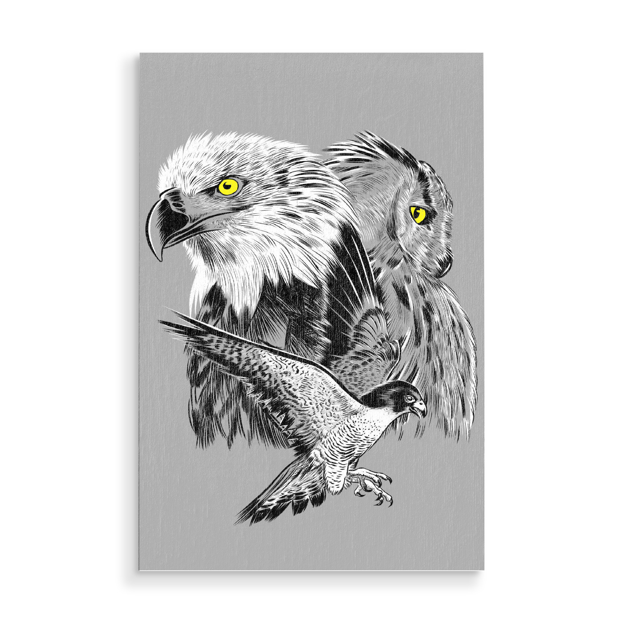 Holzbild "Eagle hawk and owl" artboxONE - Tiere - Eagle,Hawk,Owl,Bird,Raptor,Flying,Animal,Nature,Wild,Wings,Feathers,Beak,Falcon,Tiere,Animals