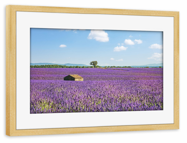 Poster mit Rahmen kiefer "Cabin With A View" artboxONE - Natur,Reise,Floral,Reise / Länder