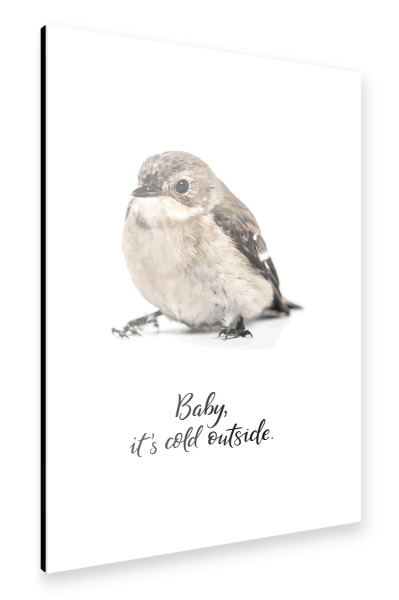 Alu-Dibond "Baby, it ́s cold outside" 30x20 cm artboxONE