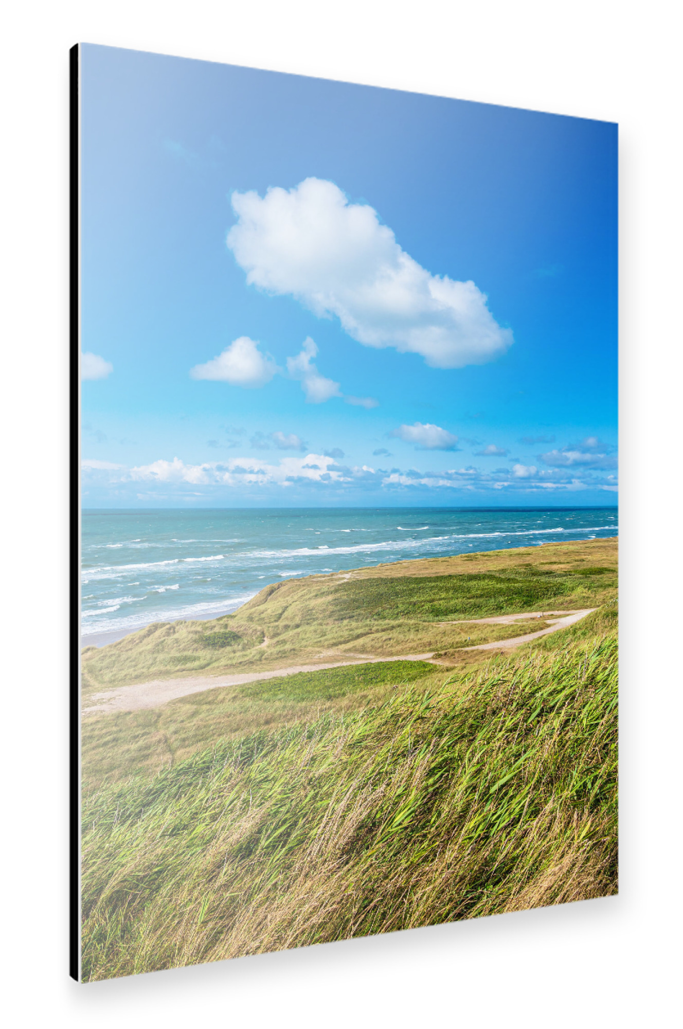 Alu-Dibond "Düne und Strand bei Hirtshals" 75x50 cm artboxONE