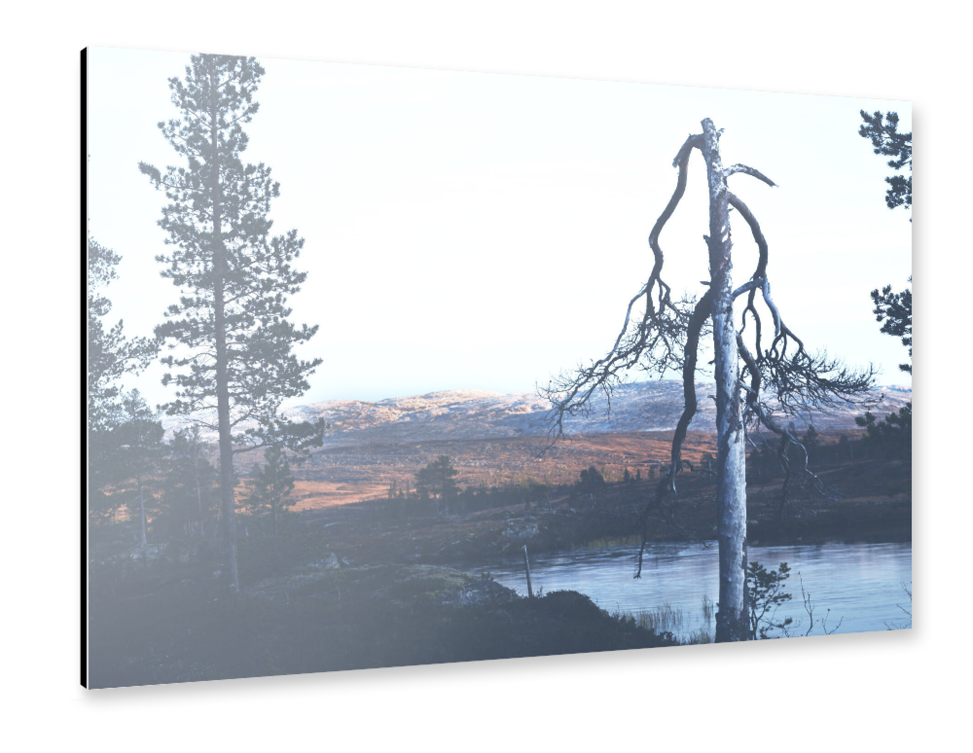 Alu-Dibond "Bäume und Berge Landschaft" 75x50 cm artboxONE
