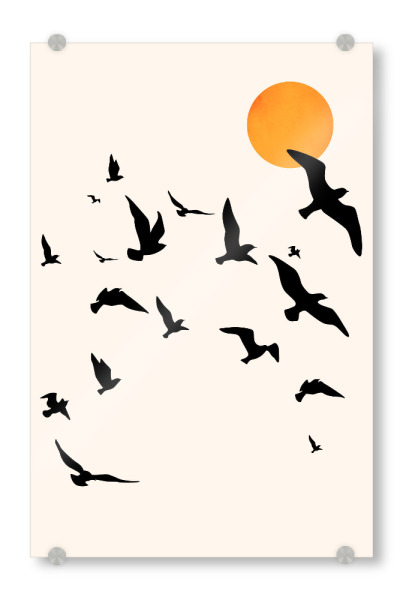 Acrylglasbild "Up And Away To The Sun" artboxONE - Natur,Tiere,Abstrakt - Vögel,Sonne,Sun,Birds,Abstract,Abstrakt