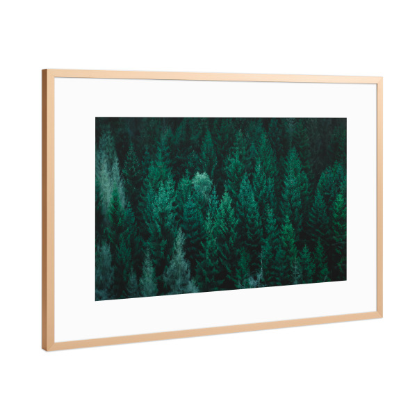 Poster mit Rahmen Kupfer "Nadelwald" artboxONE - Natur