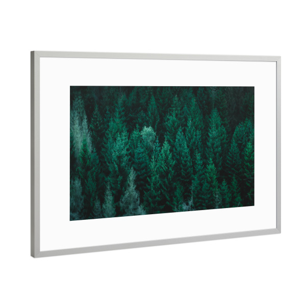 Poster mit Rahmen Silber "Nadelwald" artboxONE - Natur