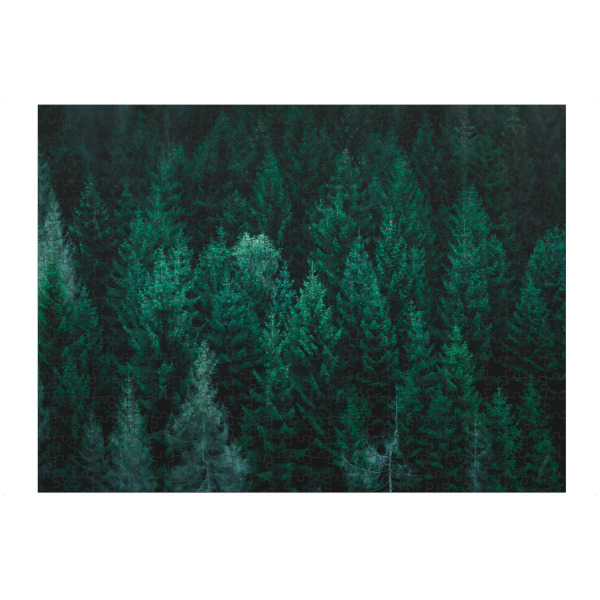 Puzzle Ravensburger "Nadelwald" artboxONE - Natur