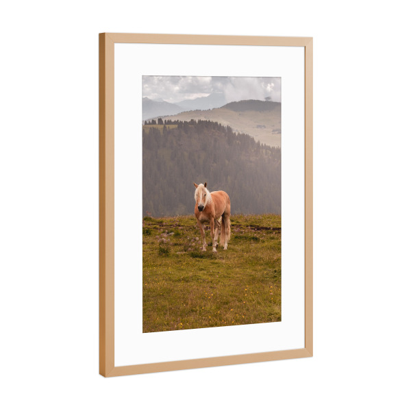 Poster mit Rahmen Kupfer "Horse in the mountains" artboxONE - Natur,Reise,Tiere