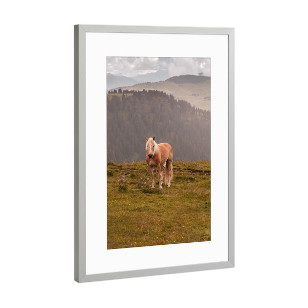 Poster mit Rahmen Silber "Horse in the mountains" artboxONE - Natur,Reise,Tiere