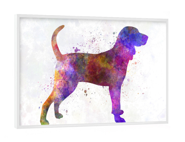 Poster mit weißem Rahmen "Blue tick coon hound dog" artboxONE - Tiere