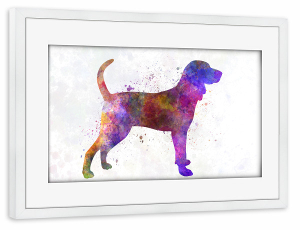 Poster mit Rahmen weiß "Blue tick coon hound dog" artboxONE - Tiere