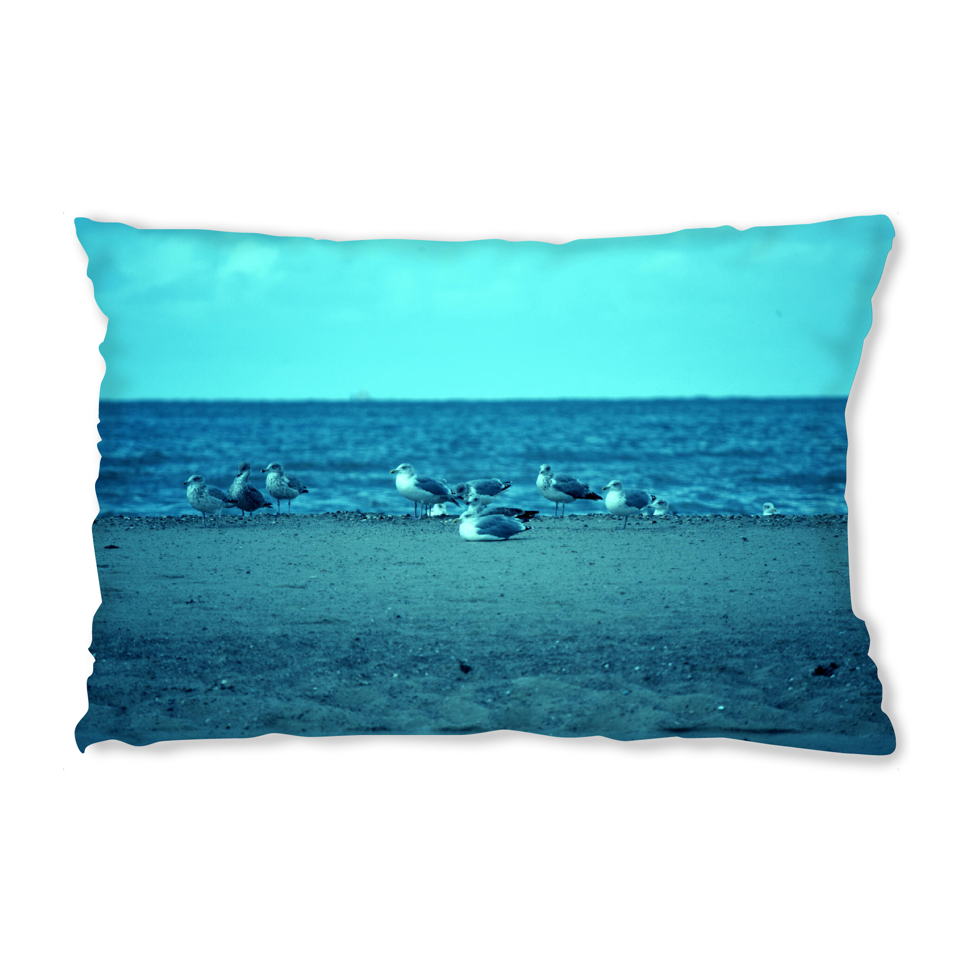Design-Kissen "Seemöwen" artboxONE - Natur,Reise,Tiere,Reise / Strand und Meer,Reise / Länder