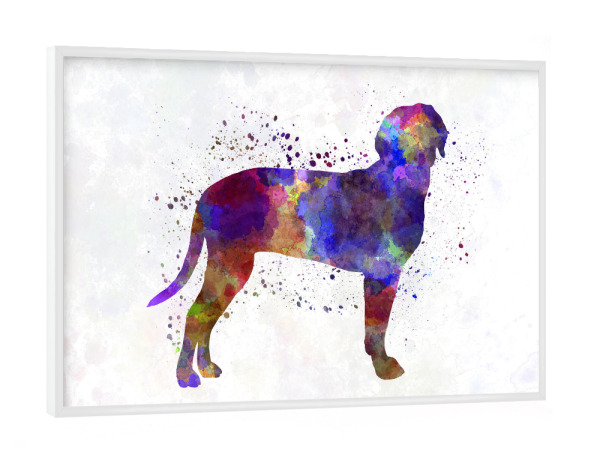 Poster mit weißem Rahmen "Austrian Black and Tan Hound" artboxONE - Tiere