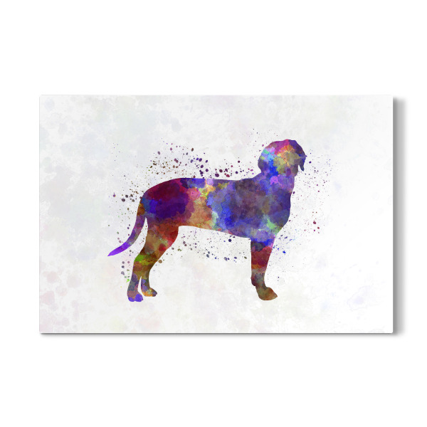 Galerie-Print "Austrian Black and Tan Hound" 30x20 cm artboxONE