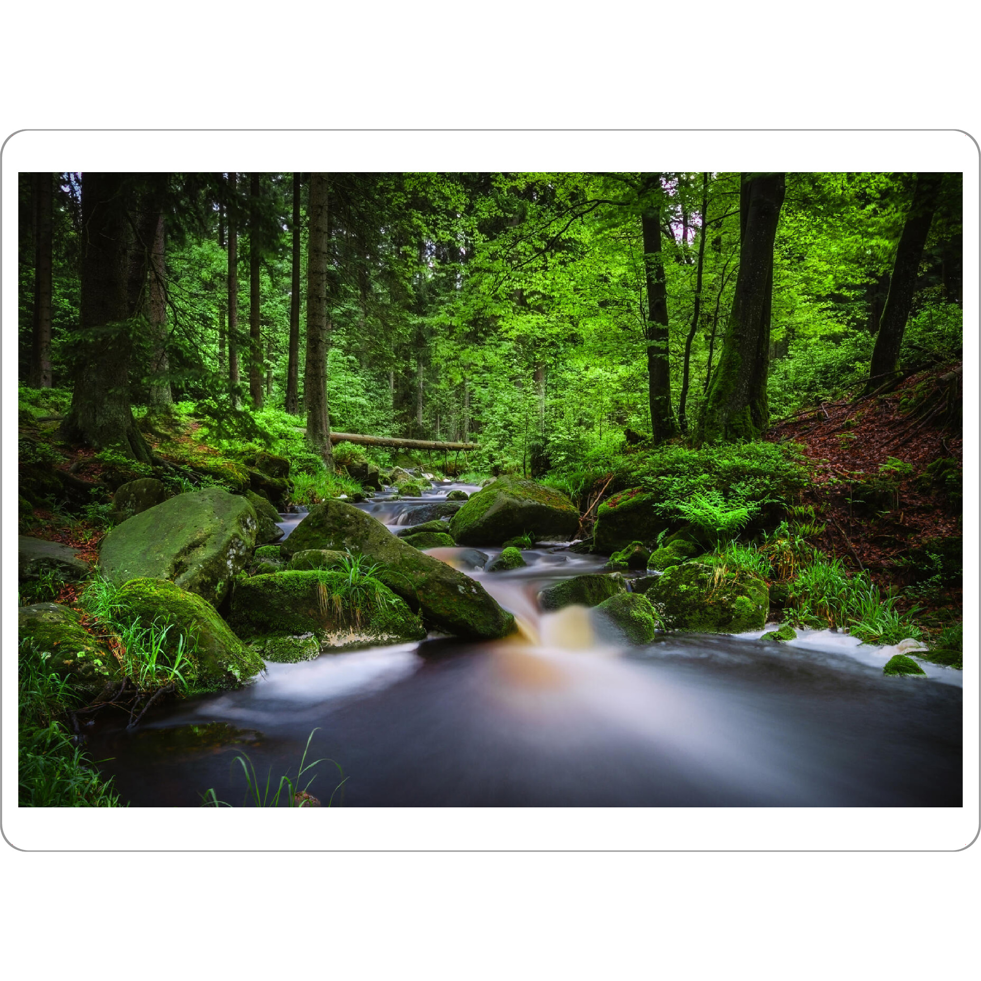 Tischset "Harzlandschaften" artboxONE - Natur,Reise,Floral