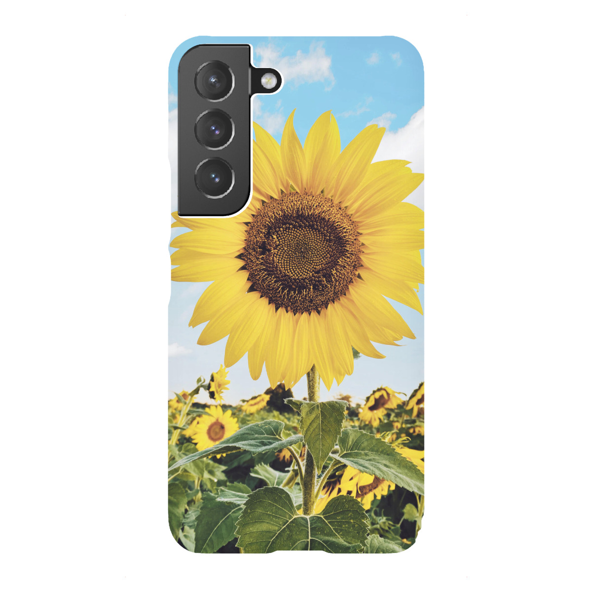 "Summer Sunflowers"für Samsung Galaxy - Premium-Case Handyhülle artboxONE