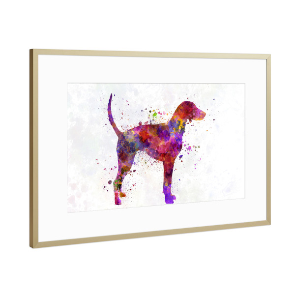 Poster mit Rahmen Gold "American Foxhound in watercolor" artboxONE - Tiere,Abstrakt