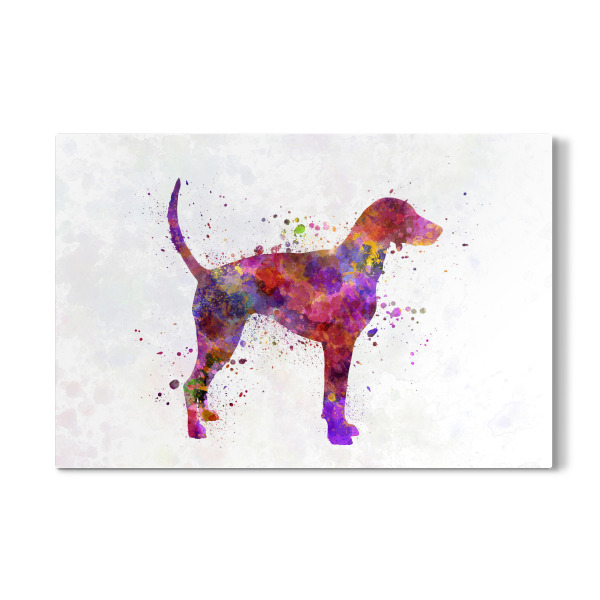 Galerie-Print "American Foxhound in watercolor" 30x20 cm artboxONE