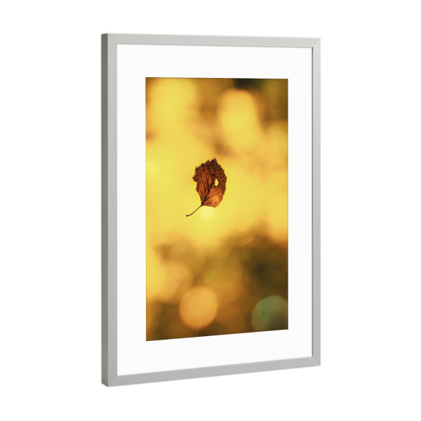 Poster mit Rahmen Silber "Herbst Zeit" artboxONE - Natur,Floral