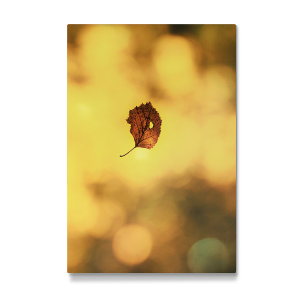 Galerie-Print "Herbst Zeit" 30x20 cm artboxONE