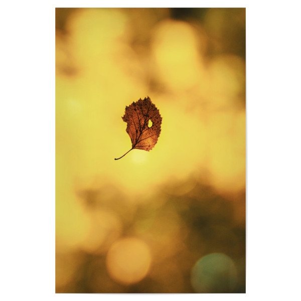 Poster "Herbst Zeit" artboxONE - Natur,Floral