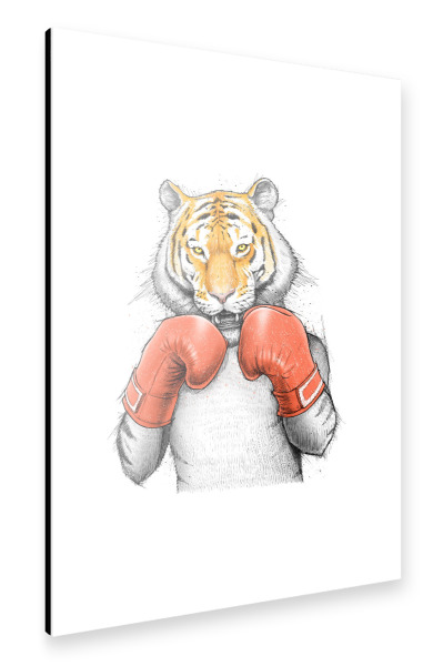 Alu-Dibond "Tiger Boxer" 30x20 cm artboxONE