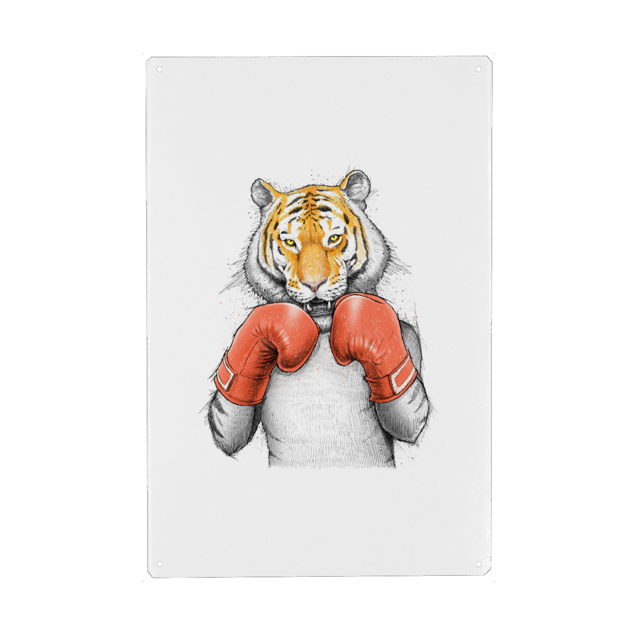 Metall Poster "Tiger Boxer" artboxONE - Tiere,Sport - Tiger,Tigers,Tiger art,Big cats,Boxer,Boxing,Gloves,Wildlife,Sport,Animal,Tier,Lustig,Boxen