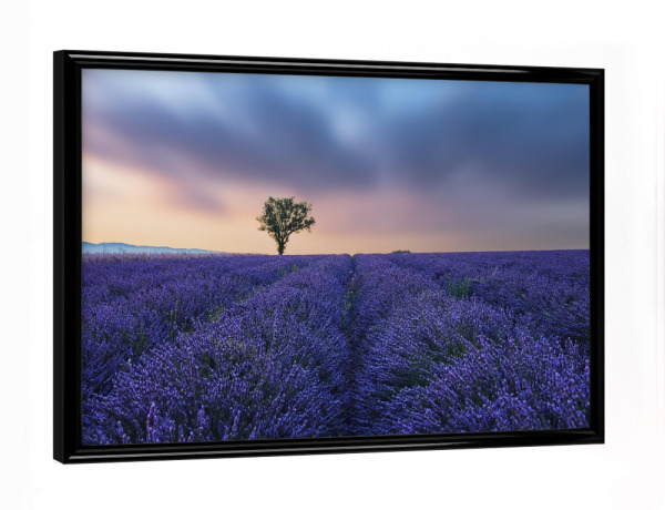 Poster mit schwarzem Rahmen "Valensole Sunset" artboxONE - Natur,Reise,Floral,Reise / Länder