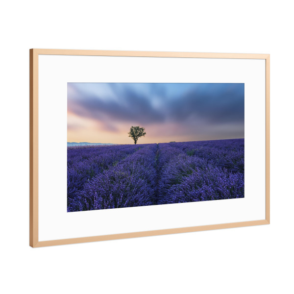 Poster mit Rahmen Kupfer "Valensole Sunset" artboxONE - Natur,Reise,Floral,Reise / Länder