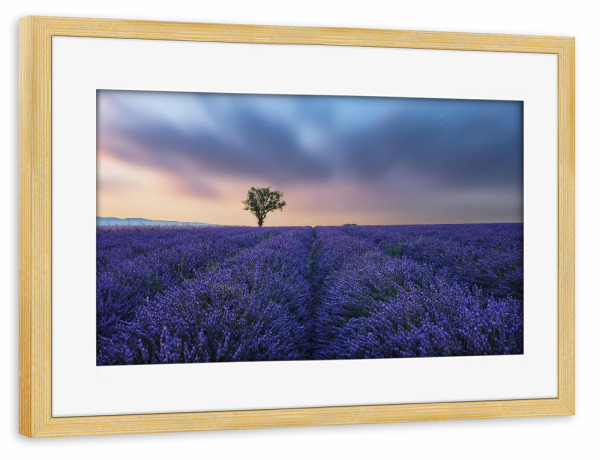 Poster mit Rahmen kiefer "Valensole Sunset" artboxONE - Natur,Reise,Floral,Reise / Länder