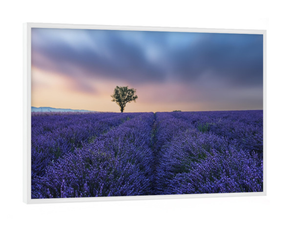 Poster mit weißem Rahmen "Valensole Sunset" artboxONE - Natur,Reise,Floral,Reise / Länder