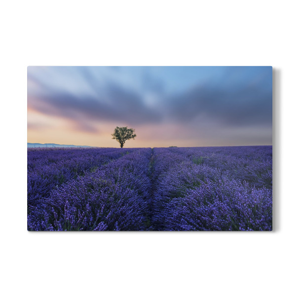 Galerie-Print "Valensole Sunset" 30x20 cm artboxONE