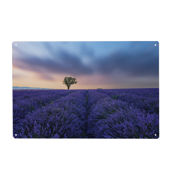 Metall Poster "Valensole Sunset" artboxONE - Natur,Reise,Floral,Reise / Länder