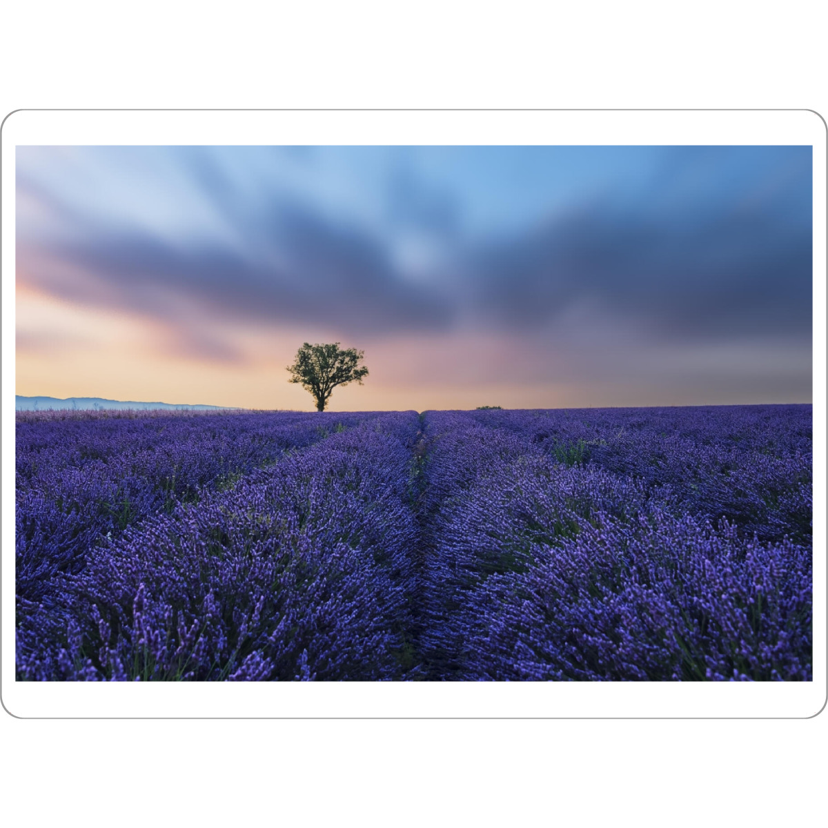Tischset "Valensole Sunset" artboxONE - Natur,Reise,Floral,Reise / Länder