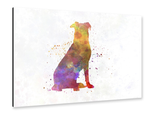 Alu-Dibond "Beauceron dog in watercolor" 30x20 cm artboxONE
