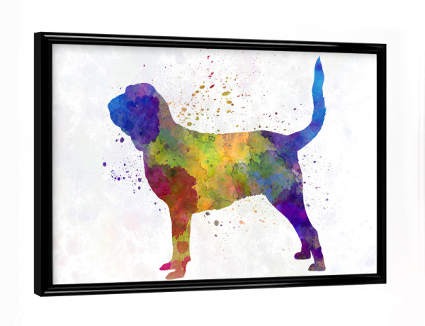 Poster mit schwarzem Rahmen "Bloodhound dog in watercolor" artboxONE - Tiere