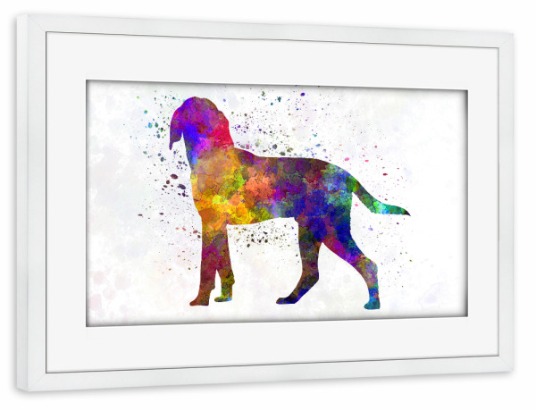 Poster mit Rahmen weiß "Anglo French Hound in watercolor" artboxONE - Tiere,Abstrakt