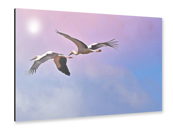 Alu-Dibond "Into the sun" 30x20 cm artboxONE